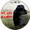 WE ARE FOUR LIONS